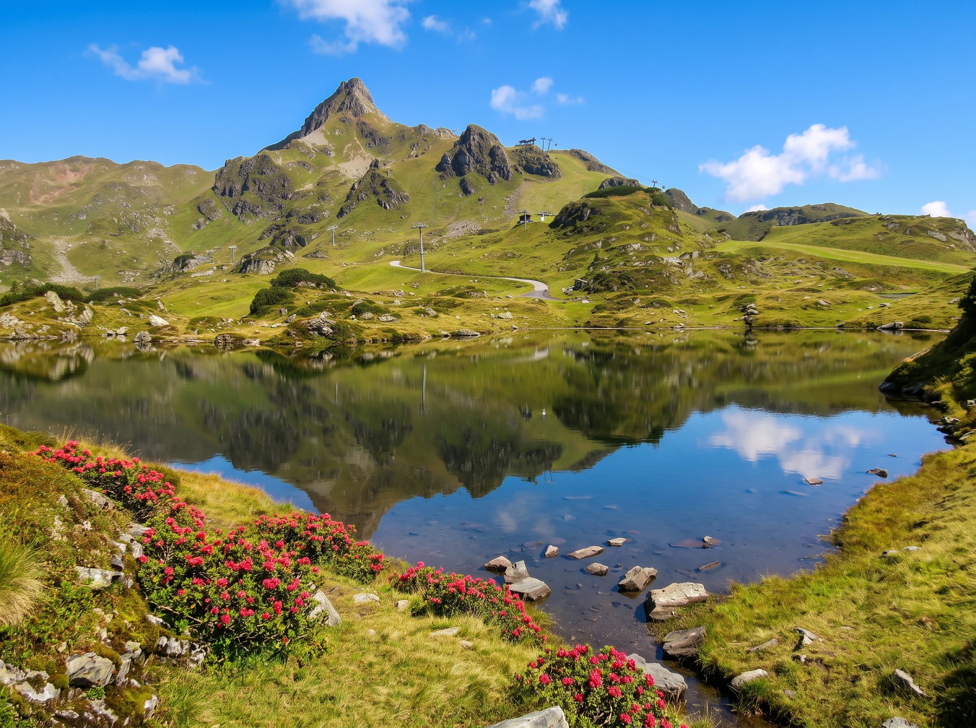 Krummschnabelsee in Obertauern mit blühendem Almrausch und der Seekarspitze